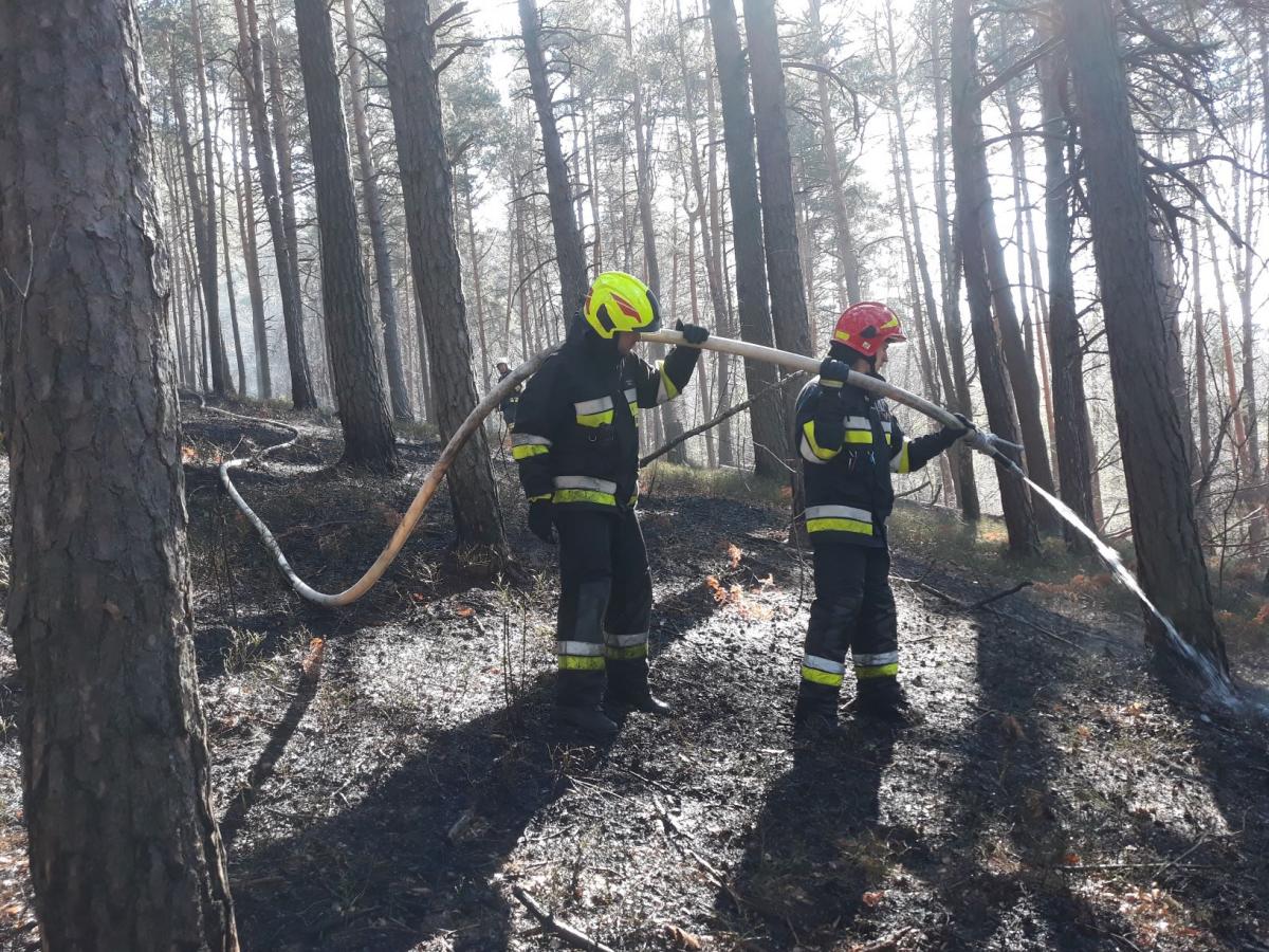 46 zdarzeń - 28 pożarów, 16 miejscowych zagrożeń oraz 2 alarmy- bilans ubiegłego tygodnia