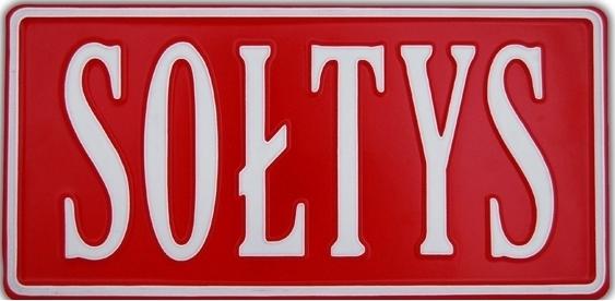 Wybory sołtysów i Rad Sołeckich