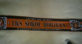 Zrzutka na boisko sportowe dla LKS Sokół Borzęta