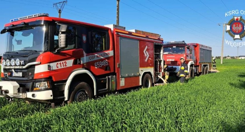 Strażacy gasili pożar w lasku sokołowskim (zdjęcia) 