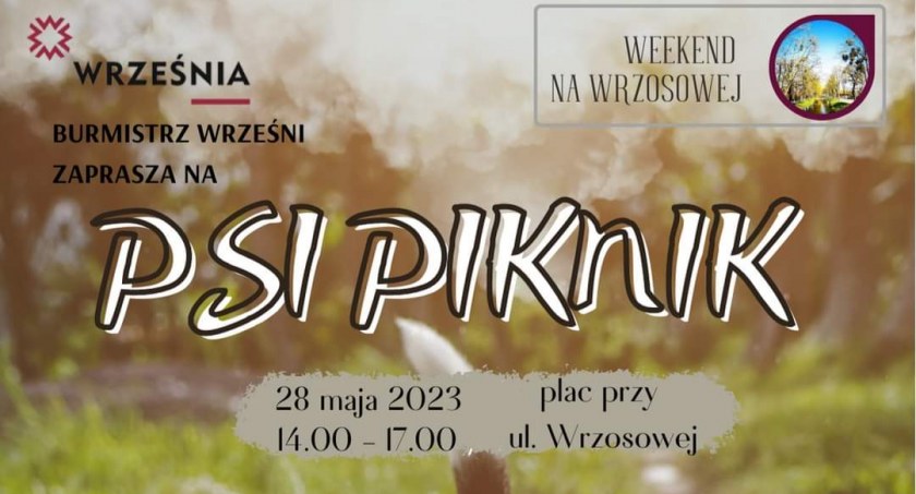 Czas na Psi Piknik we Wrześni! 