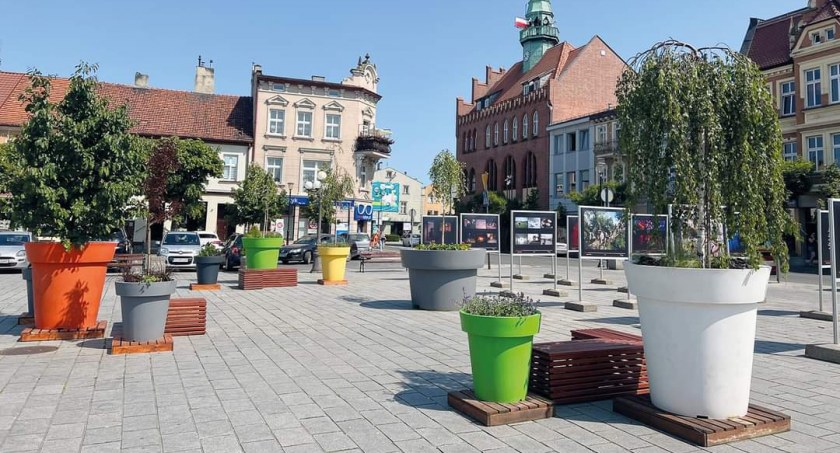Wrzesiński rynek zyskał letni wystrój! 