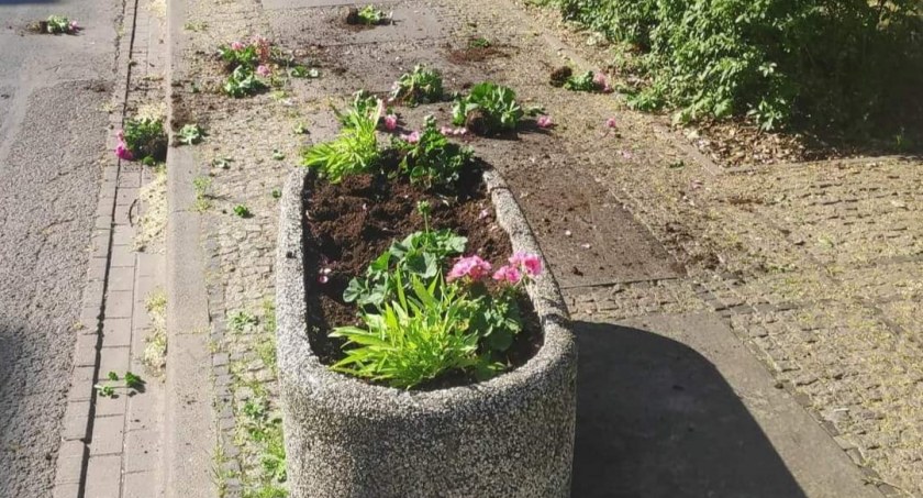 Miejski wandal złapany i ukarany 