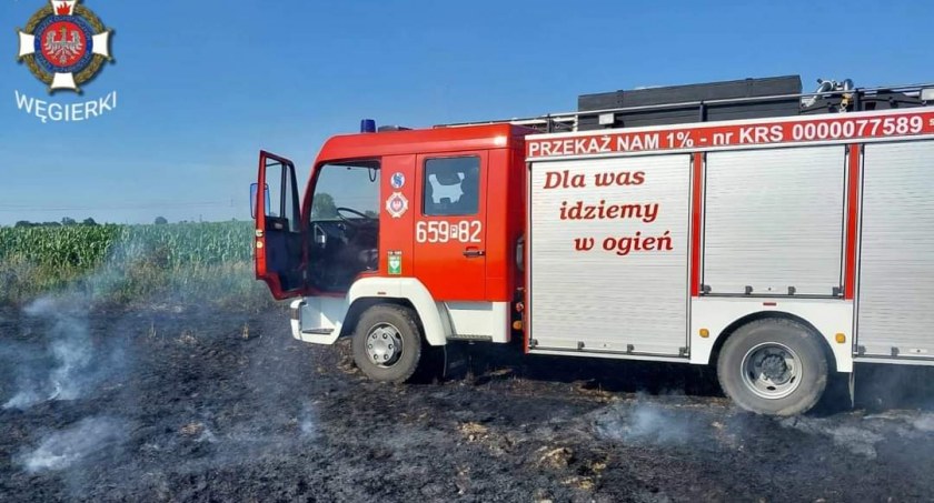 Pięć zastępów gasiło pożar na polu (Galeria) 
