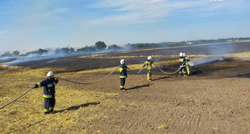 Pożar słomy i ścierniska w Sokołowie (zdjęcia) 
