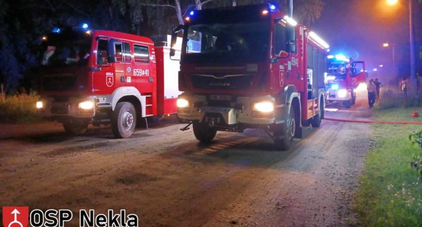 Pożar budynku gospodarczego w Nekli (zdjęcia) 