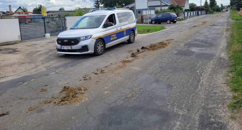 Strażnicy ukarali sprawcę zanieczyszczenia drogi 