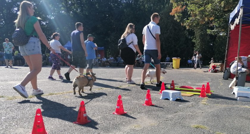 Trwa Psi Piknik w Parku im. Dzieci Wrzesińskich (Galeria) 