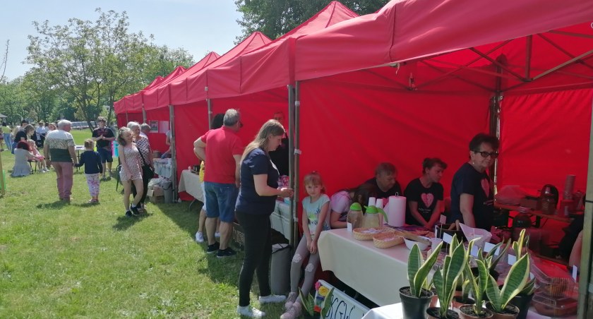 W niedzielę wraca Piknik na Wrzosowej. Sprawdź atrakcje! 