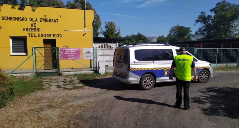 Straż Miejska apeluje: Pilnujmy swoje pieski