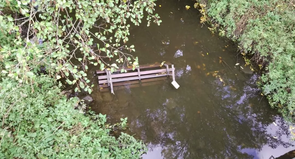 Wandale grasowali pod osłoną nocy we Wrześni (zdjęcia) 
