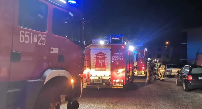 Pożar sadzy w kominie. Trzy zastępy straży w akcji (zdjęcia)