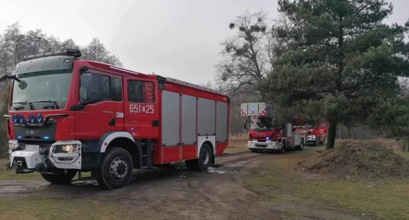 Strażacy interweniowali w Gierłatowie (zdjęcia) 