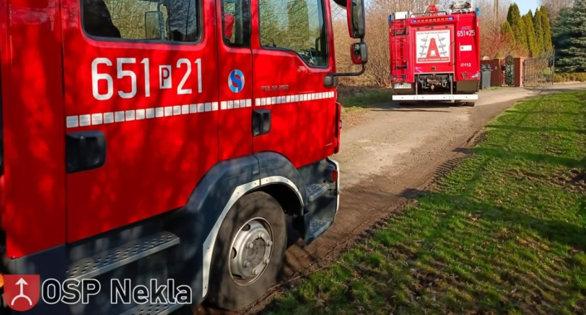 Zadymienie w budynku mieszkalnym. Akcja strażaków w Gierłatowie 