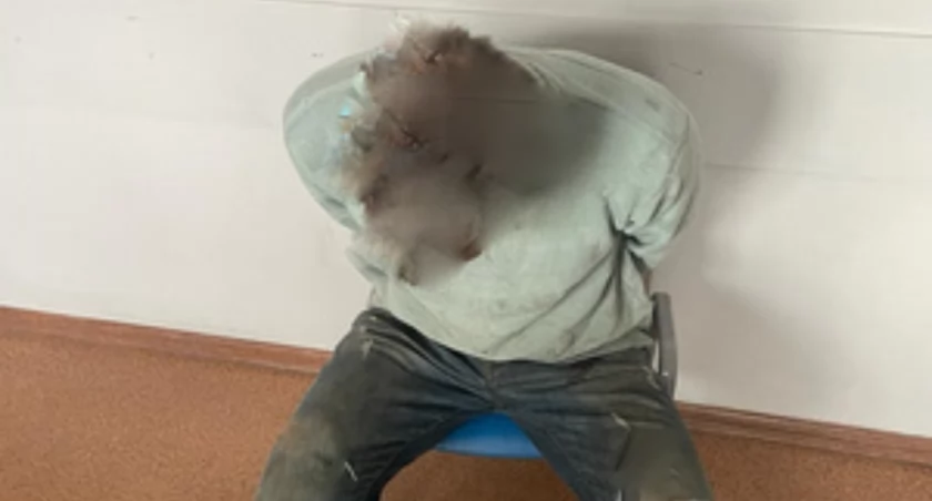 Zniszczył kilkadziesiąt drzew przy ścieżce. Wandal w rękach policji. 