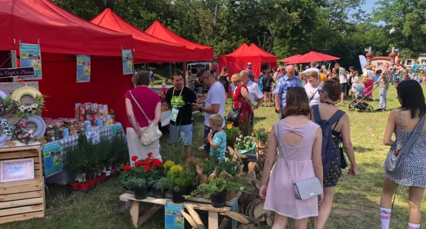 Za nami Rodzinny Piknik na Wrzosowej! (Galeria) 