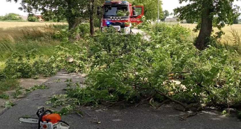 Powalone drzewa, zerwane linie energetyczne. Pracowita niedziela strażaków z powiatu wrzesińskiego (zdjęcia) 