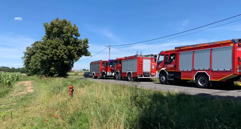 Pożar pola. Sobotnia akcja strażaków (zdjęcia) 