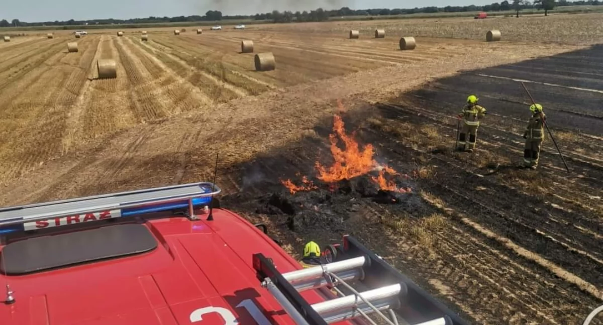 Pożar maszyny rolniczej i ścierniska. Strażacy walczyli z ogniem (zdjęcia) 