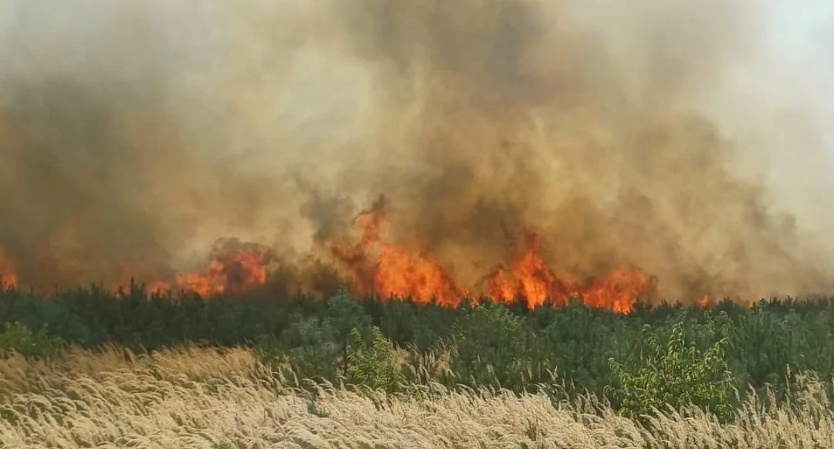Kilkanaście zastępów strażaków i samoloty w akcji. Spłonęło ponad 20 hektarów lasu (zdjęcia) 