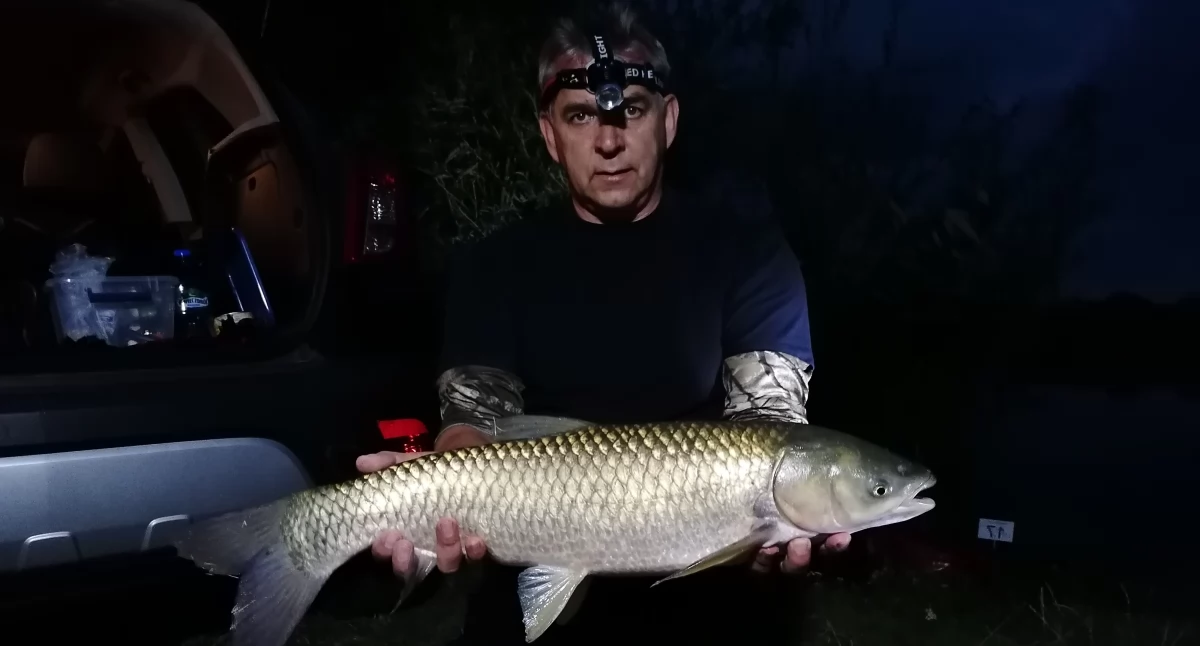 Nocne Zawody o Puchar GIERŁATÓWKA. Złowili ponad 540 kg ryb (zdjęcia) 