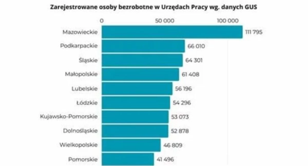 Wyzwania polskiego rynku pracy w 2024 roku 