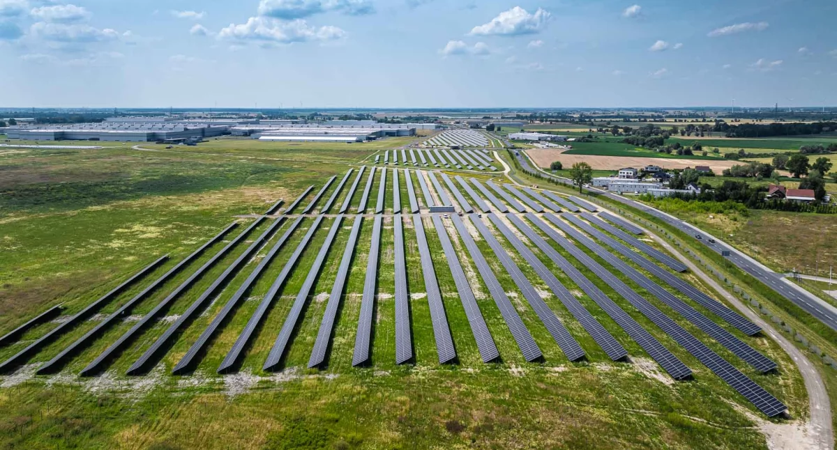 Jedna z największych farm fotowoltaicznych w Europie jest pod Wrześnią (zdjęcia) 