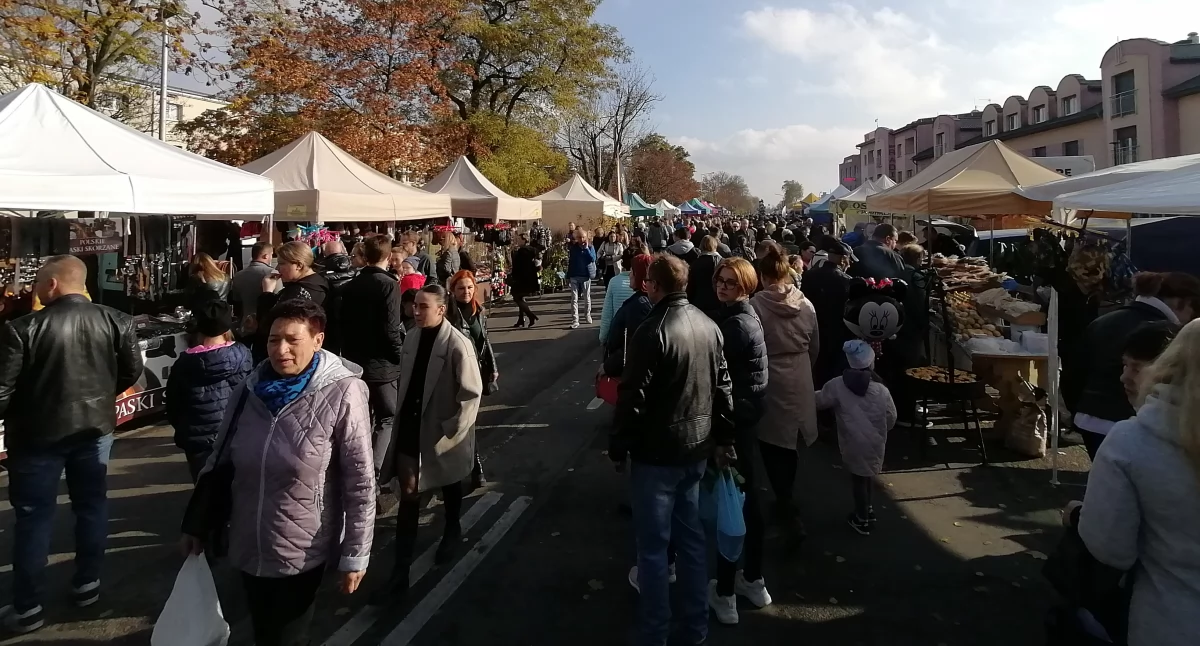 Znamy datę Targów Rolnicza Jesień we Wrześni! 