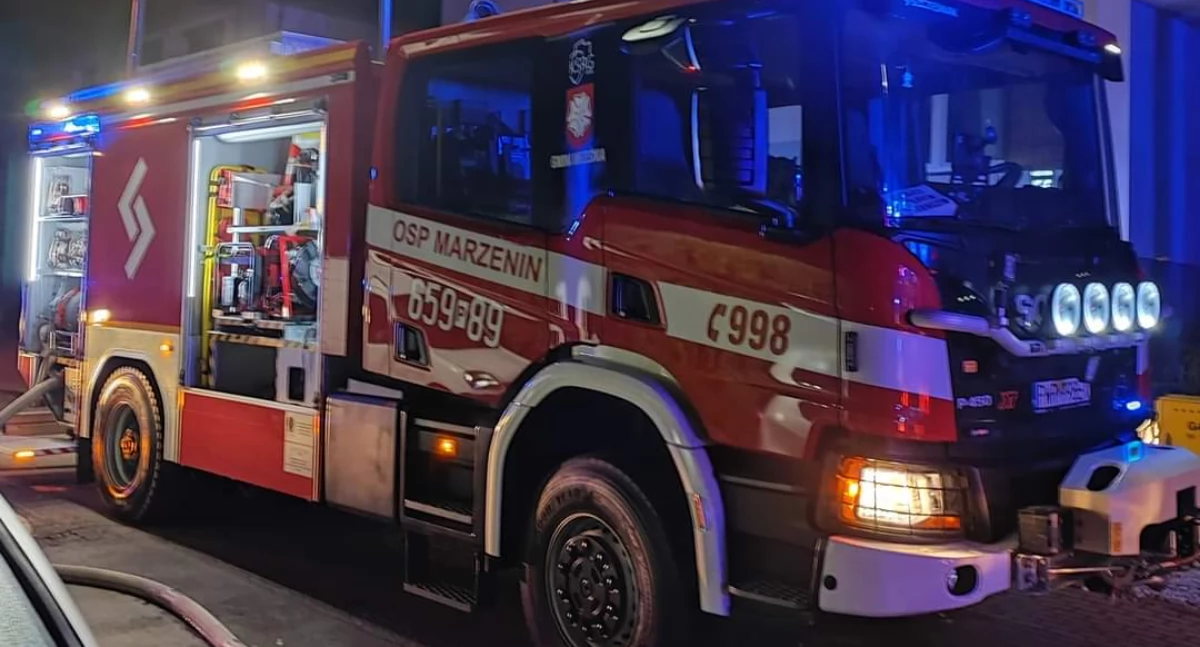 Nocny pożar na ogródkach działkowych we Wrześni 