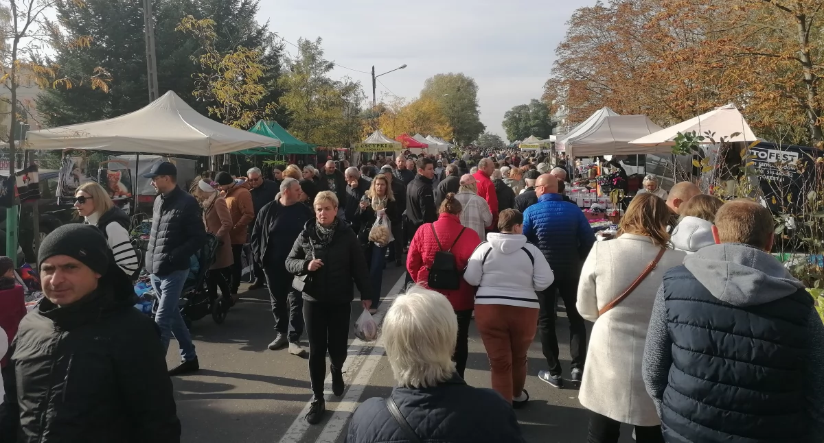 Targi Rolnicza Jesień we Wrześni! Tłumy na Opieszynie (Galeria) 