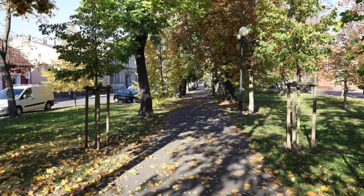 Września dostała kolejne miliony! Zobacz na co pójdą 