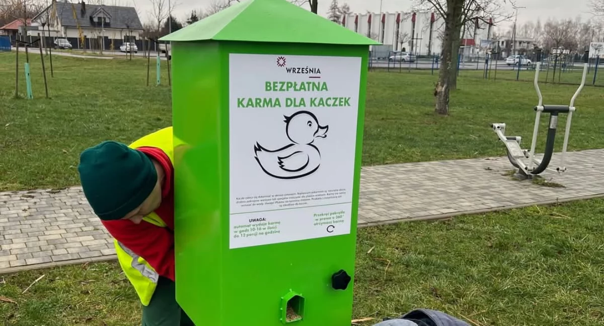 We Wrześni pojawiły się kaczkomaty. Sprawdź gdzie 