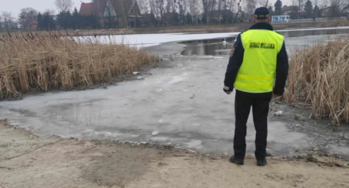 Pilny apel! Nie wchodzimy na lód nad Zalewem 