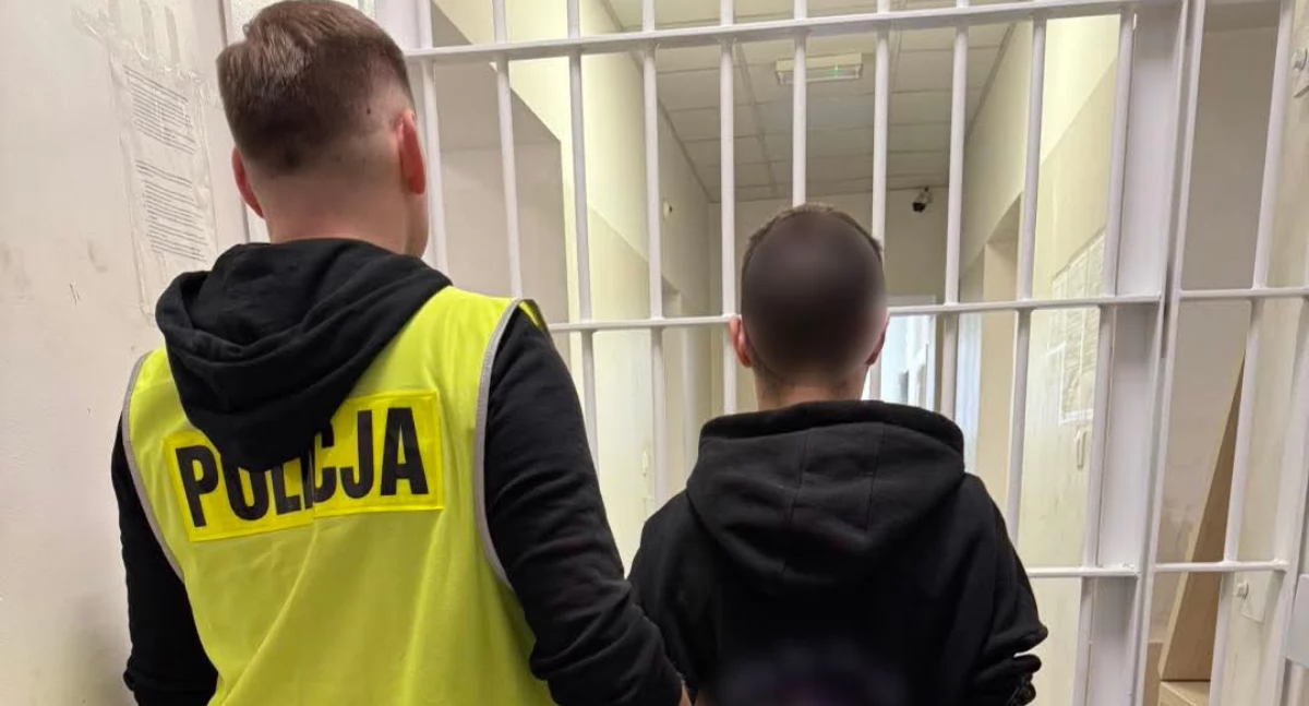 Bezlitośnie wyłudzał duże kwoty pieniędzy. Wśród poszkodowanych wrześnianka