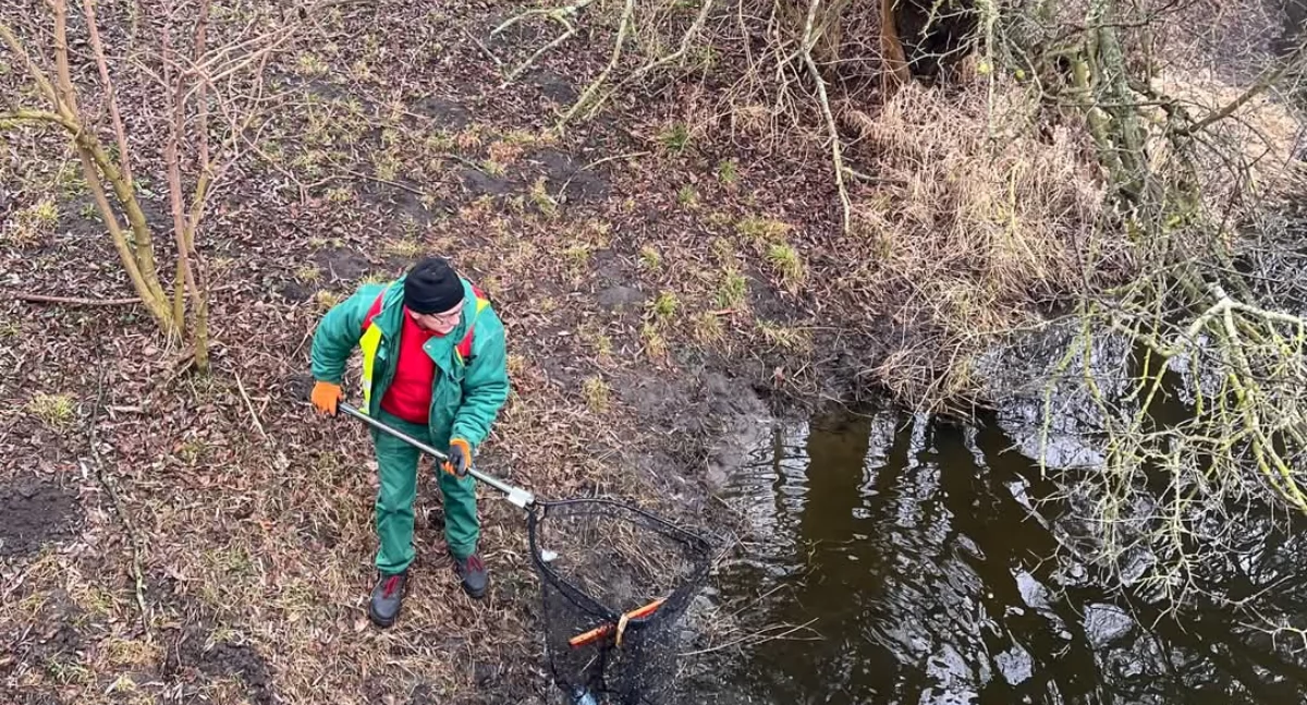 Oczyszczanie Wrześnicy oraz stawków 