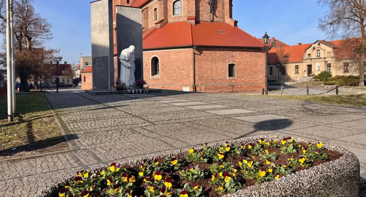 Pierwsze wiosenne kwiaty ozdobiły miasto 