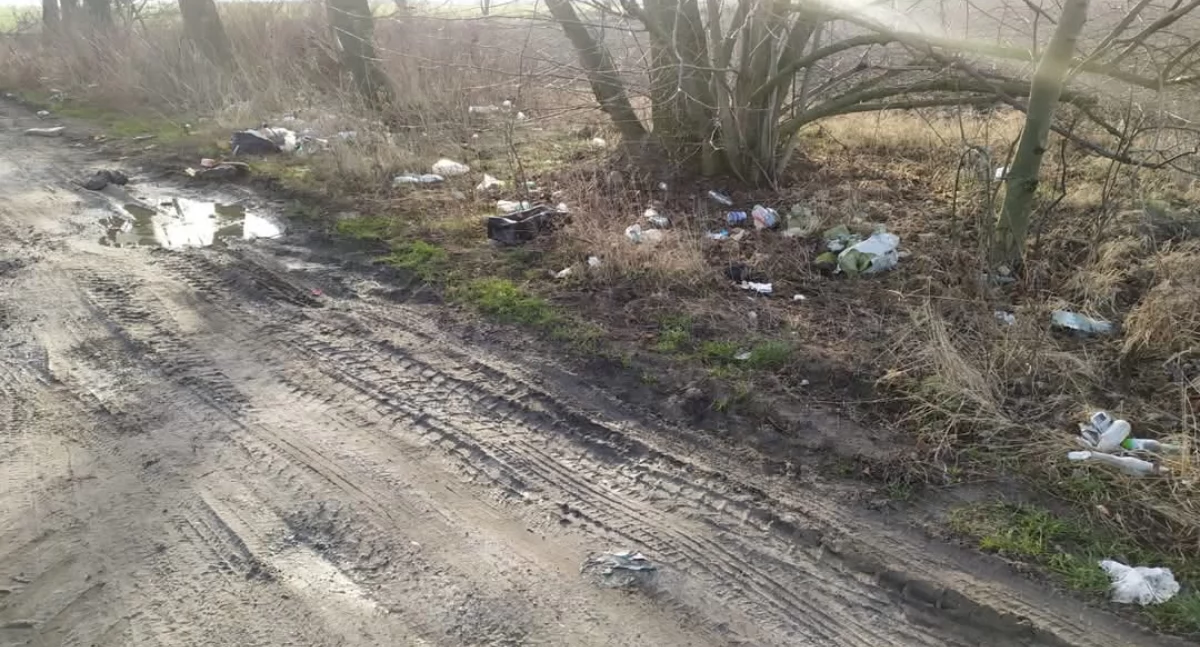 Kolejne śmieci uprzątnięte 