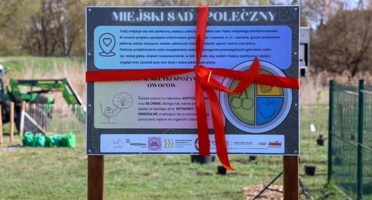 We Wrześni powstał Sad Społeczny (zdjęcia) 