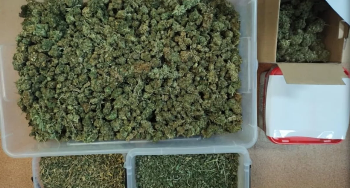 Prawie 2,5 kg narkotyków w mieszkaniu. Mężczyzna w areszcie