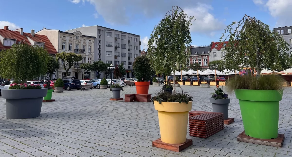 Kolorowe donice stanęły na wrzesińskim rynku (zdjęcia) 