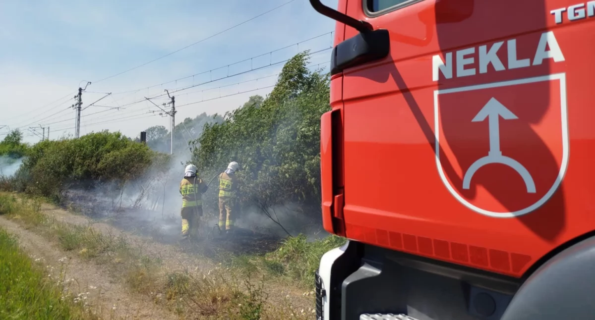 Siedem zastępów straży gasiło pożar. Ruch pociągów był wstrzymany (zdjęcia) 