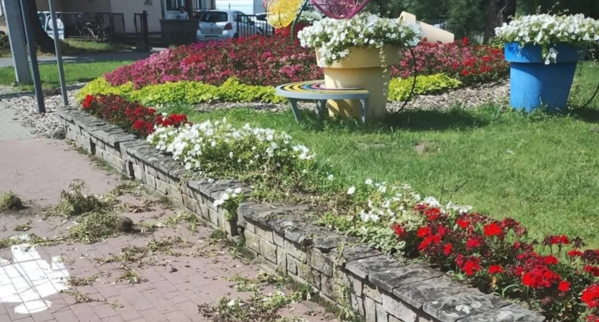 Wandal zniszczył skwer przy Szkolnej. Został ukarany mandatem 