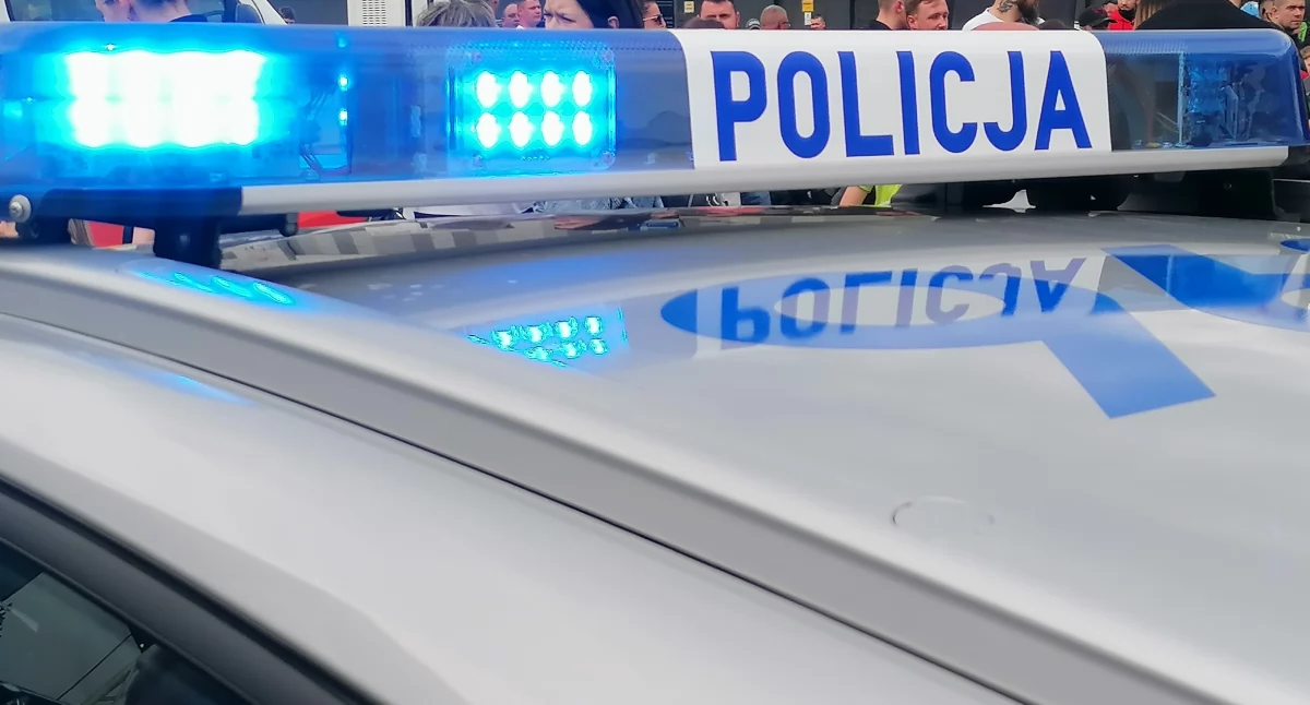 Zderzenie dwóch osobówek w Gozdowie. Mandat dla mieszkańca gminy Września 