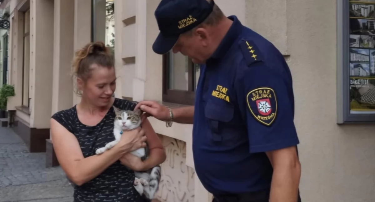 Niecodzienna interwencja Straży Miejskiej. Kotek uratowany