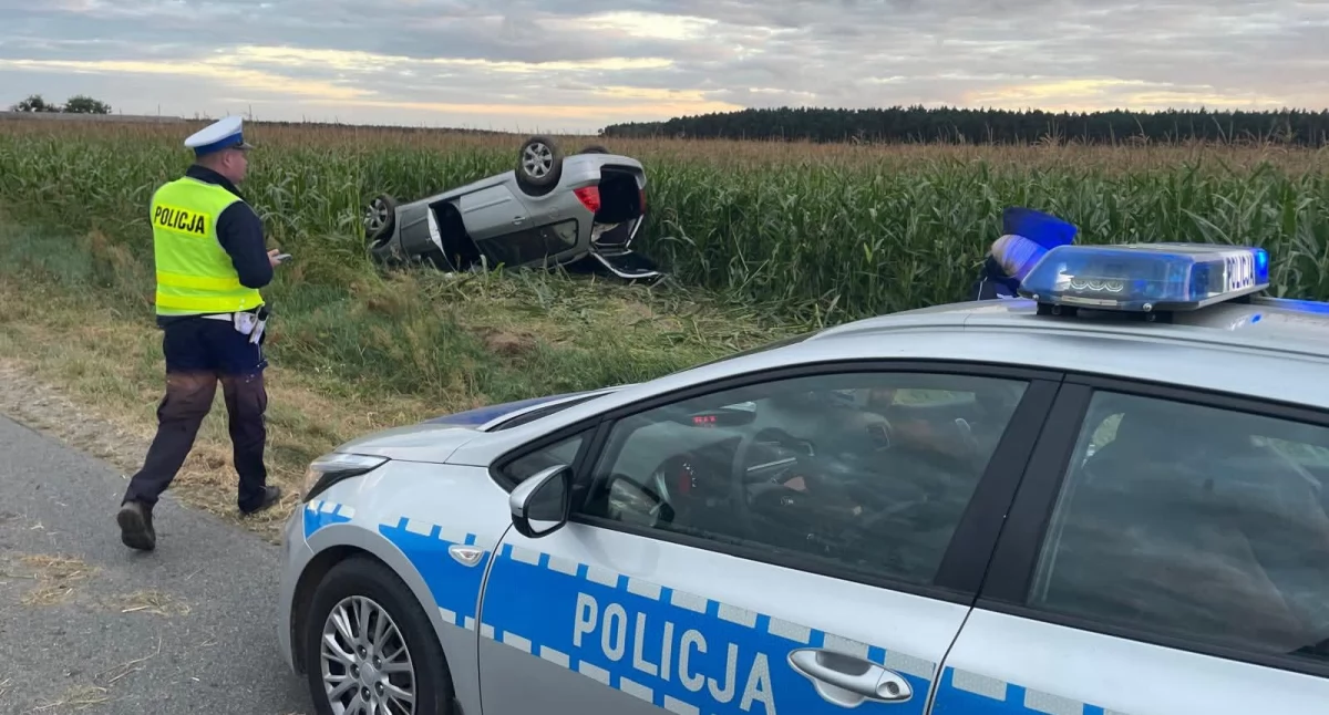 Szalona ucieczka wrześnianki przed policją! Dachowała w polu kukurydzy (zdjęcia) 