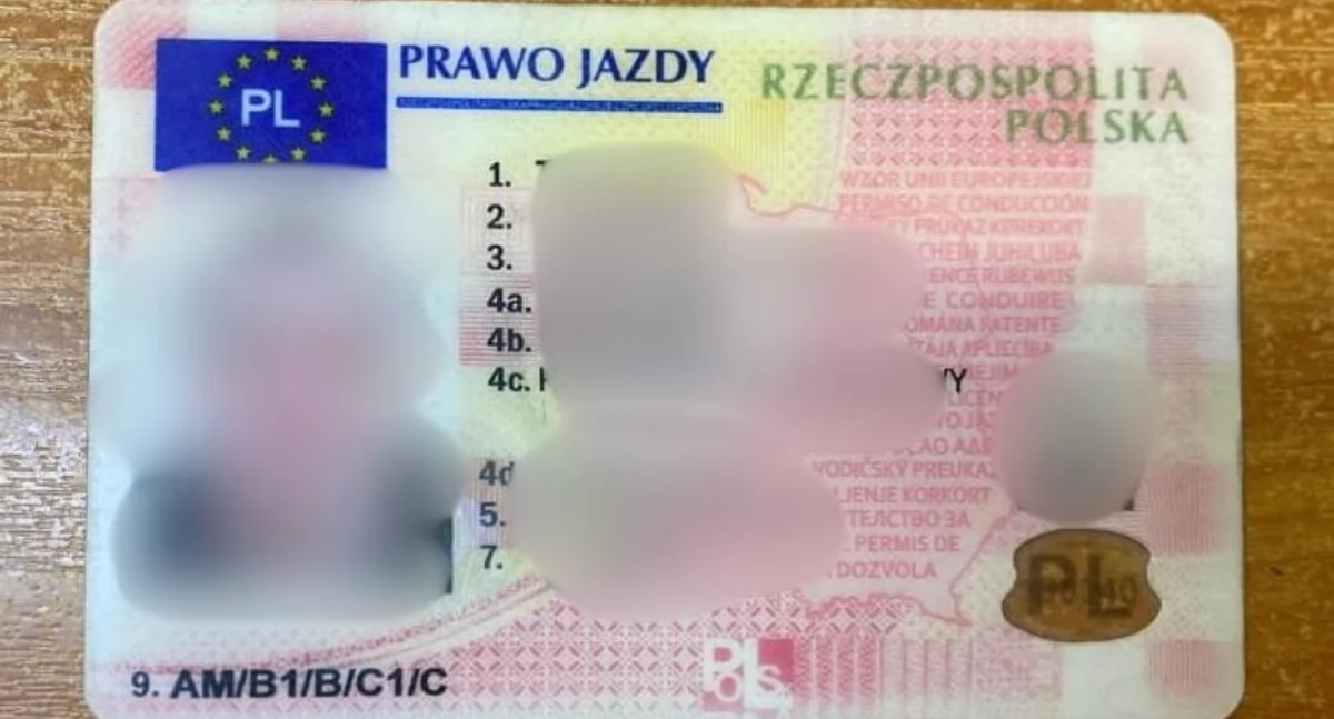 35-latek pędził w zabudowanym. Prawo jazdy kupił w internecie