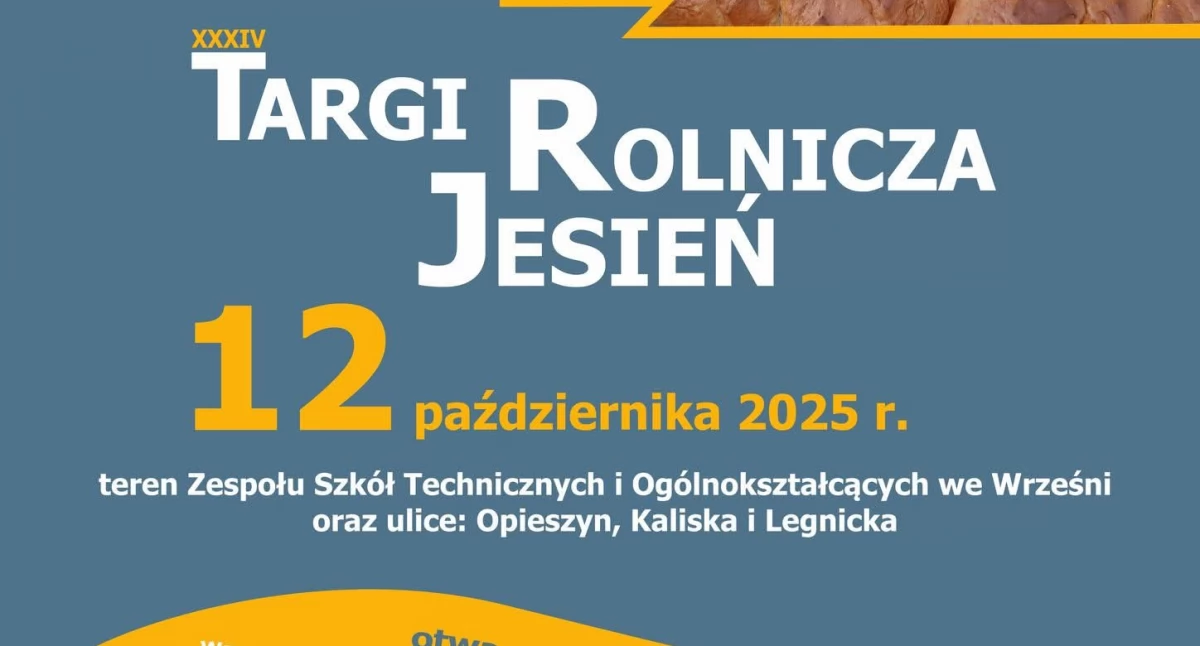 Targi 