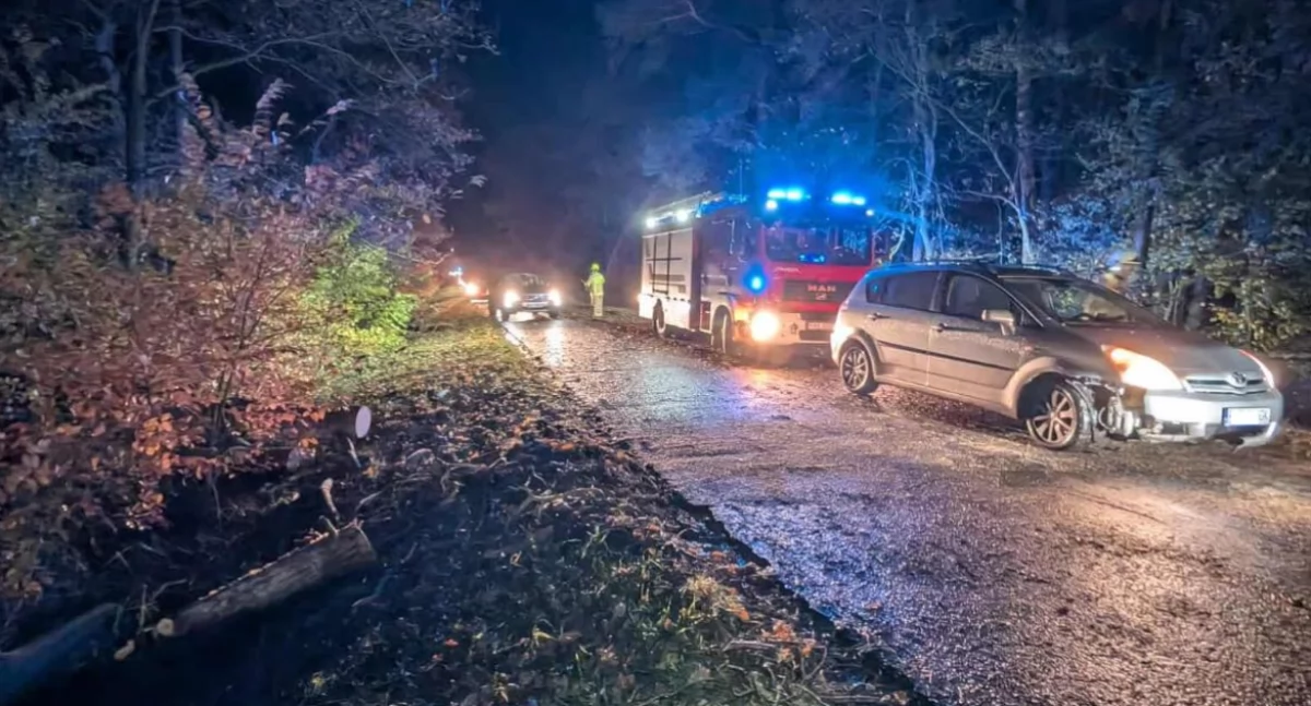 Silny wiatr przewrócił drzewo na drogę! Dwa auta uszkodzone