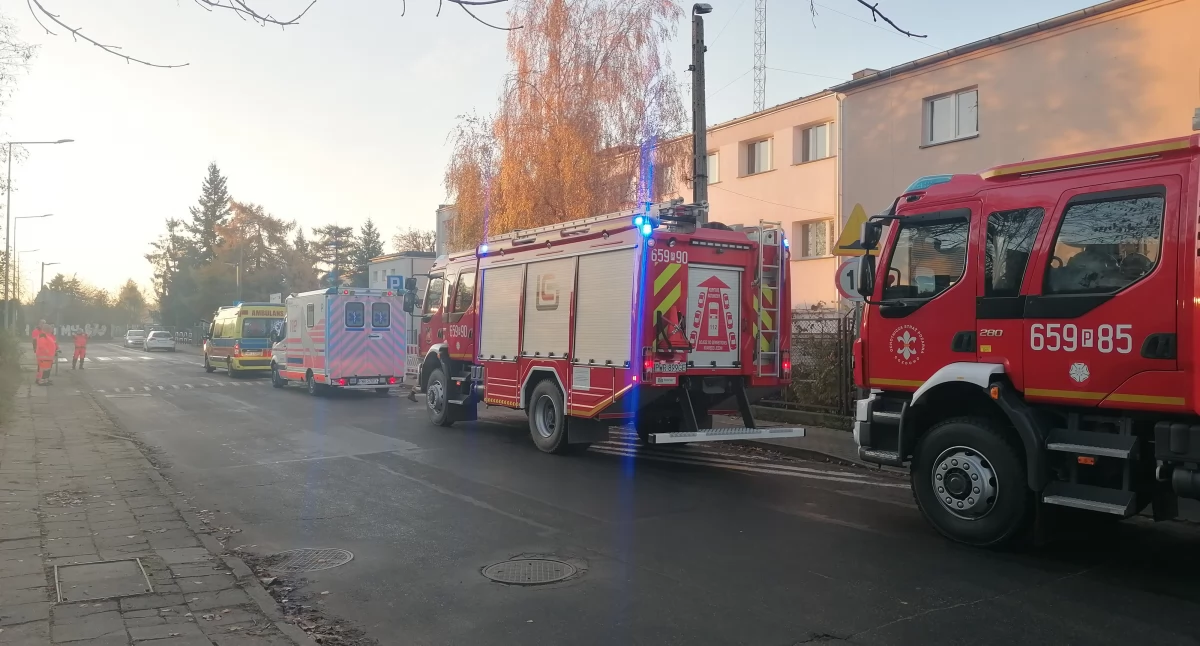 AKTUALIZACJA: Akcja usuwania niewybuchów przy ul. Batorego we Wrześni (Galeria/wideo) 
