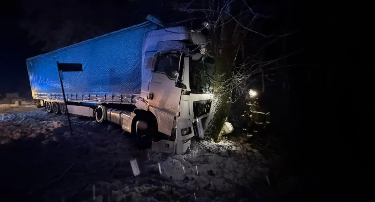 Wypadki, powalone drzewa, pożar. Pracowite godziny strażaków
